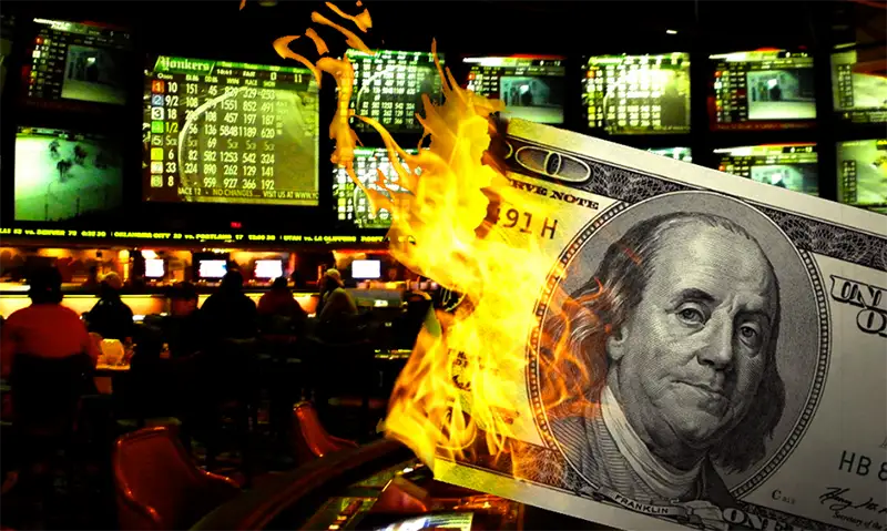 تفاوت بازندگان و برندگان در شرط‌بندی